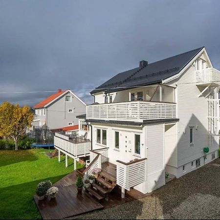 Tromso'S Best Location? City & Nature 5 Mins Away. Esterno foto
